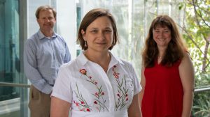 New UQ and Industry Consortium to tackle energy efficiency in mineral processing operations